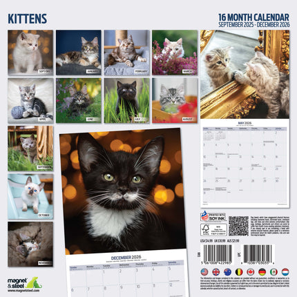 Magnet & Steel Kittens Kalender 2027