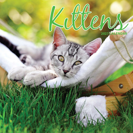 Magnet & Steel Kittens Kalender 2027