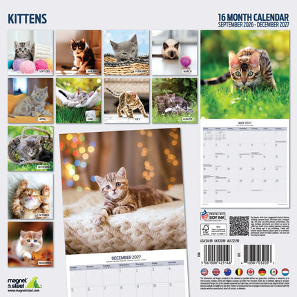 Magnet & Steel Kittens Kalender 2027