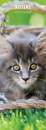 Magnet & Steel Kittens Kalender 2027 Slimline
