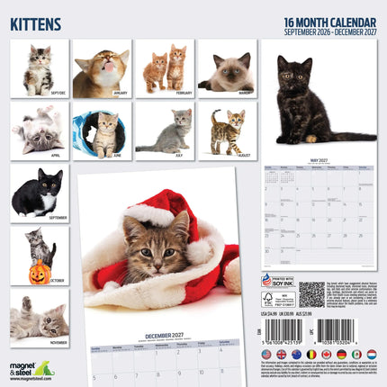 Magnet & Steel Kittens Modern Kalender 2026