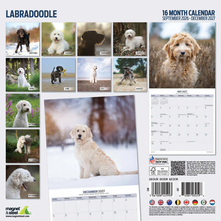 Magnet & Steel Labradoodle Kalender 2027