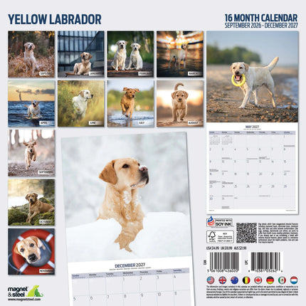 Magnet & Steel Labrador Retriever Blond Kalender 2027