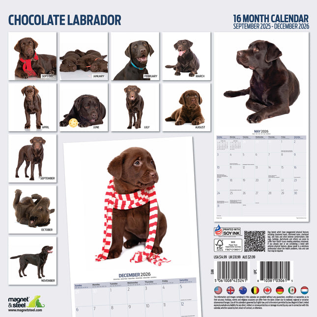 Magnet & Steel Labrador Retriever Bruin Modern Kalender 2026