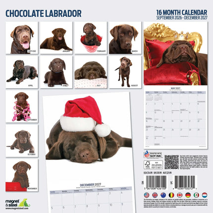 Magnet & Steel Labrador Retriever Bruin Modern Kalender 2027