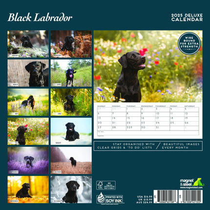 Magnet & Steel Labrador Retriever Zwart Kalender 2025 Deluxe