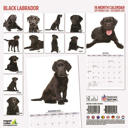 Magnet & Steel Labrador Retriever Zwart Kalender 2025 Modern