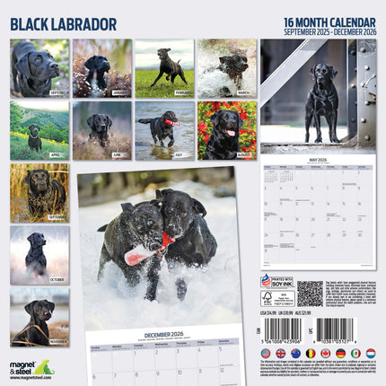 Magnet & Steel Labrador Retriever Zwart Kalender 2027
