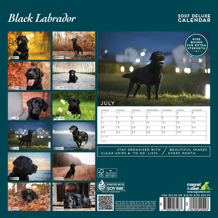 Magnet & Steel Labrador Retriever Zwart Kalender 2027 Deluxe