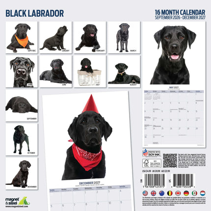 Magnet & Steel Labrador Retriever Zwart Modern Kalender 2027
