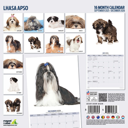 Magnet & Steel Lhasa Apso Modern Kalender 2026
