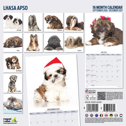Magnet & Steel Lhasa Apso Modern Kalender 2027