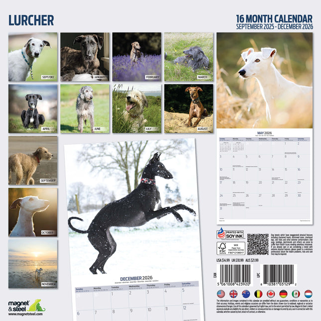 Magnet & Steel Lurcher Kalender 2026