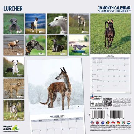 Magnet & Steel Lurcher Kalender 2027