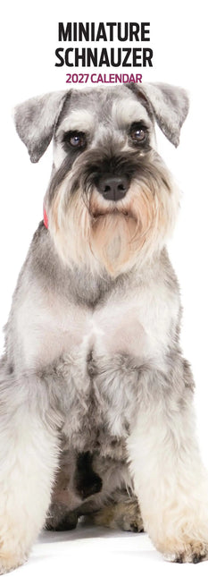 Magnet & Steel Miniatuur Schnauzer Kalender 2027 Slimline