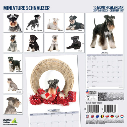 Magnet & Steel Miniatuur Schnauzer Modern Kalender 2026