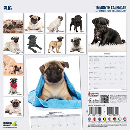 Magnet & Steel Mopshond Modern Kalender 2027