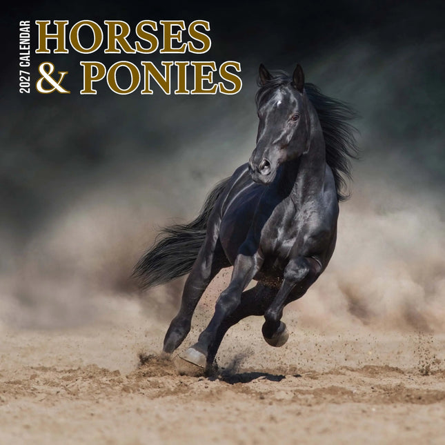 Magnet & Steel Paarden en Ponies Kalender 2027 Slimline