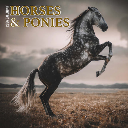 Magnet & Steel Paarden Kalender 2026