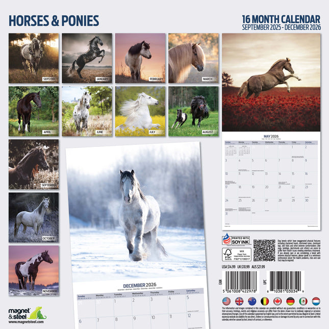Magnet & Steel Paarden Kalender 2026