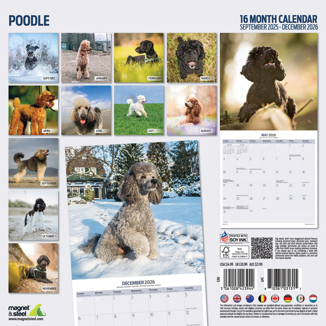 Magnet & Steel Poedel Kalender 2026