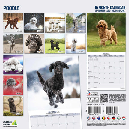 Magnet & Steel Poedel Kalender 2027