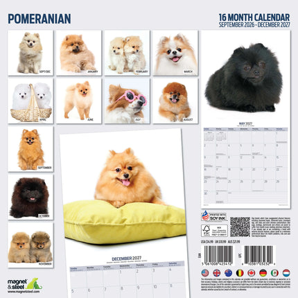 Magnet & Steel Pomeranian Modern Kalender 2027