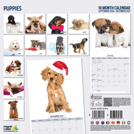 Magnet & Steel Puppies Kalender 2027