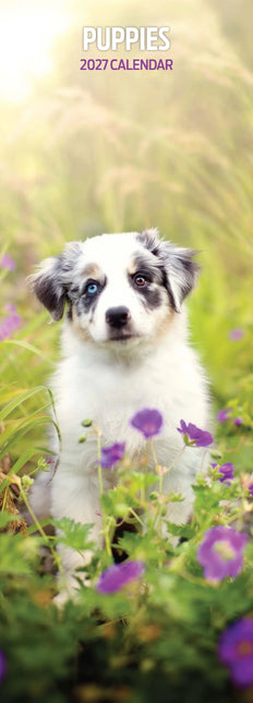 Magnet & Steel Puppy Kalender 2027 Slimline