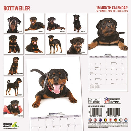 Magnet & Steel Rottweiler Kalender 2025 Modern