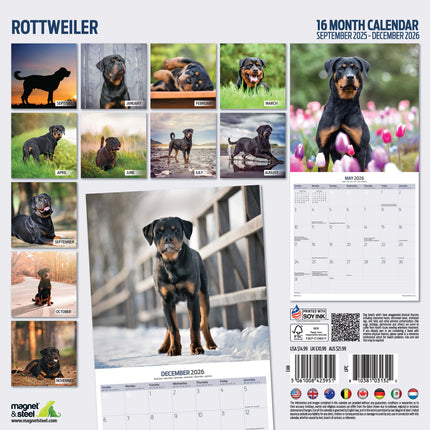 Magnet & Steel Rottweiler Kalender 2026