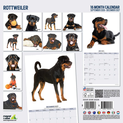 Magnet & Steel Rottweiler Modern Kalender 2027