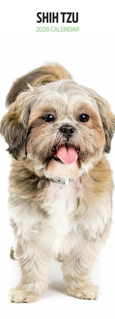Magnet & Steel Shih Tzu Kalender 2026 Slimline