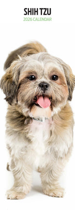 Magnet & Steel Shih Tzu Kalender 2027 Slimline