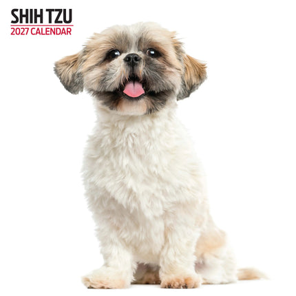 Magnet & Steel Shih Tzu Modern Kalender 2027