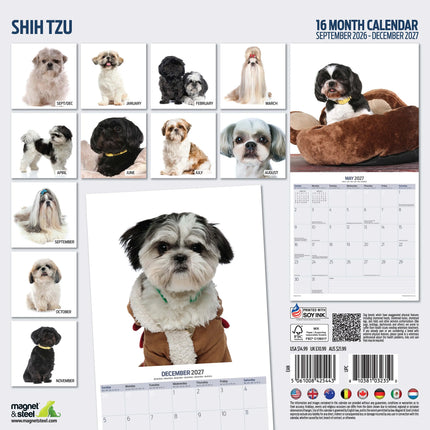 Magnet & Steel Shih Tzu Modern Kalender 2027