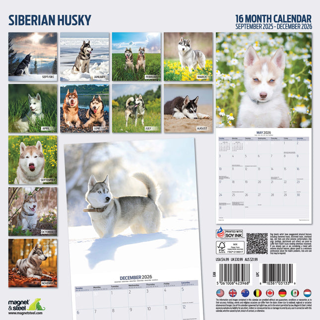 Magnet & Steel Siberian Husky Kalender 2026