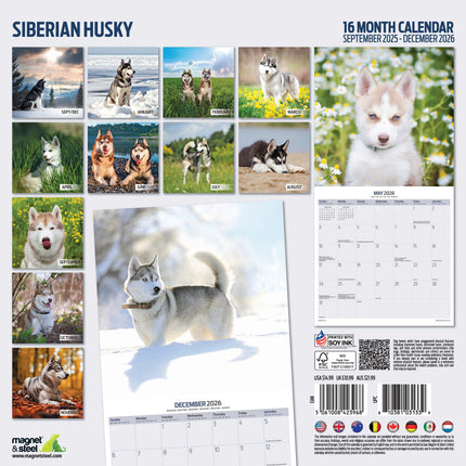 Magnet & Steel Siberian Husky Kalender 2027