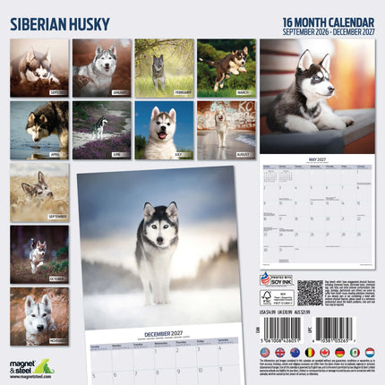 Magnet & Steel Siberian Husky Kalender 2027