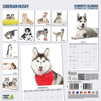 Magnet & Steel Siberian Husky Modern Kalender 2027