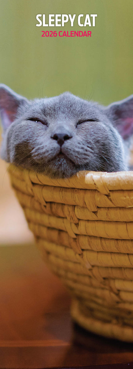 Magnet & Steel Sleepy Cat Kalender 2026 Slimline