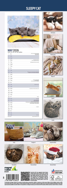 Magnet & Steel Sleepy Cat Kalender 2026 Slimline