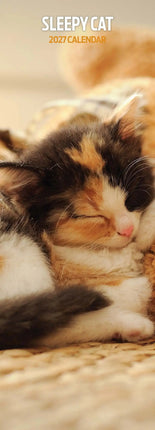 Magnet & Steel Sleepy Cat Kalender 2027 Slimline