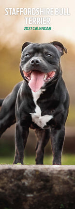Magnet & Steel Staffordshire Bull Terrier Kalender 2027 Slimline