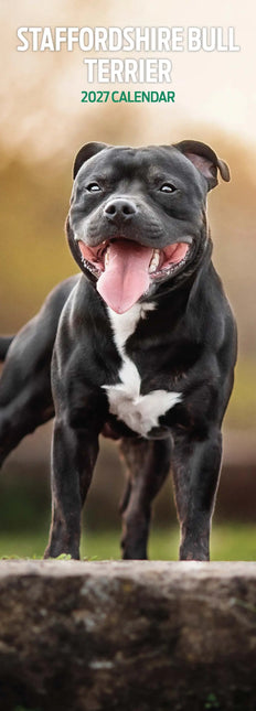 Magnet & Steel Staffordshire Bull Terrier Kalender 2027 Slimline