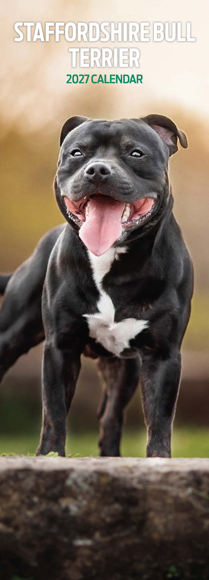 Magnet & Steel Staffordshire Bull Terrier Kalender 2027 Slimline