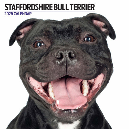 Magnet & Steel Staffordshire Bull Terrier Modern Kalender 2026