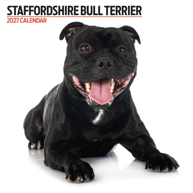 Magnet & Steel Staffordshire Bull Terrier Modern Kalender 2027