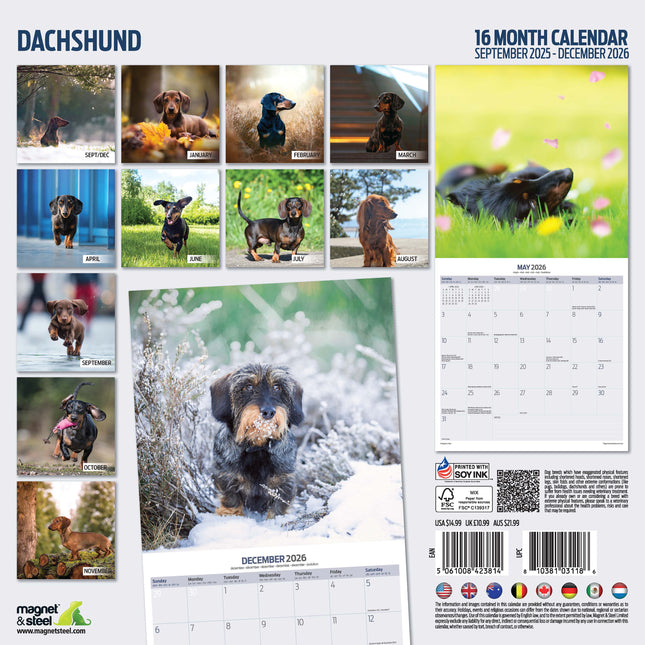 Magnet & Steel Teckel Kalender 2026