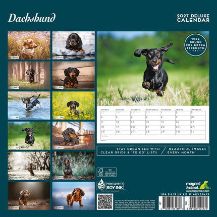 Magnet & Steel Teckel Kalender 2027 Deluxe